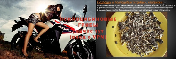 дмт Алзамай