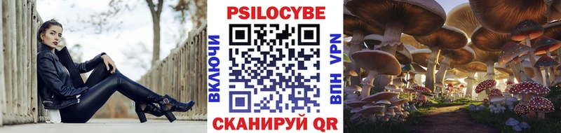hydra ТОР  Ревда  Галлюциногенные грибы прущие грибы 